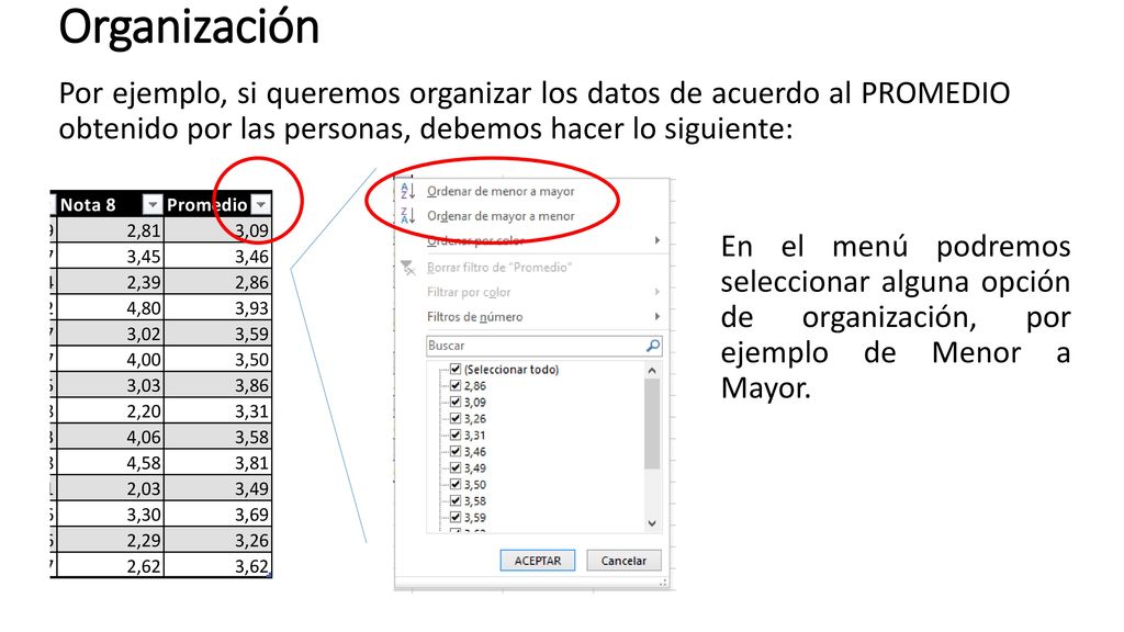 Organización Por ejemplo, si queremos organizar los datos de acuerdo al PROMEDIO obtenido por las personas, debemos hacer lo siguiente:
