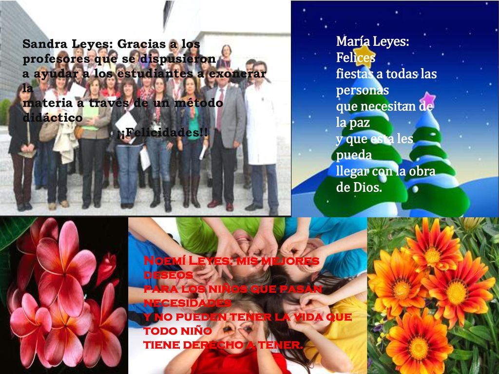 fiestas a todas las personas que necesitan de la paz