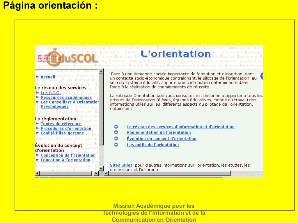 Página orientación : Mission Académique pour les Technologies de l’Information et de la Communication en Orientation.