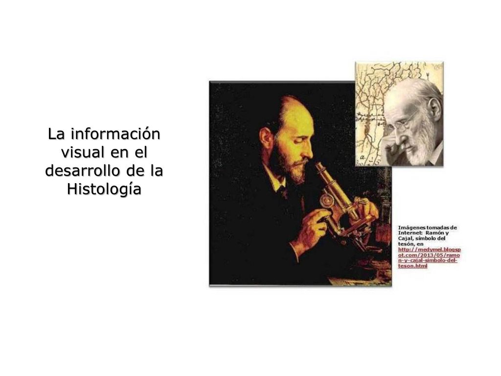 La información visual en el desarrollo de la Histología