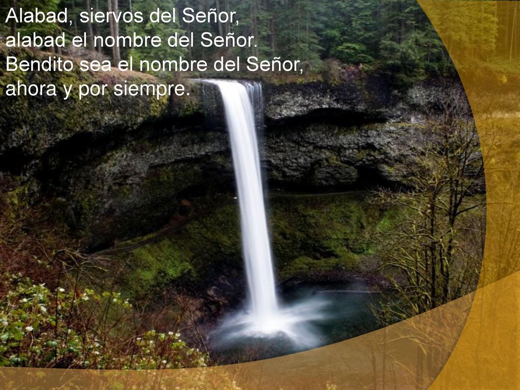 Alabad, siervos del Señor, alabad el nombre del Señor