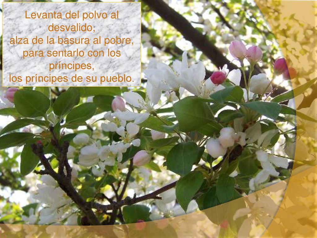 Levanta del polvo al desvalido, alza de la basura al pobre, para sentarlo con los príncipes, los príncipes de su pueblo.