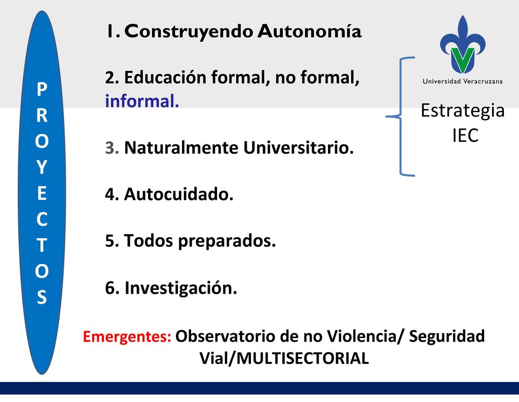 P R O Y E C T S Estrategia IEC