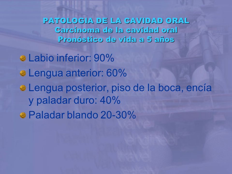 Lengua posterior, piso de la boca, encía y paladar duro: 40%