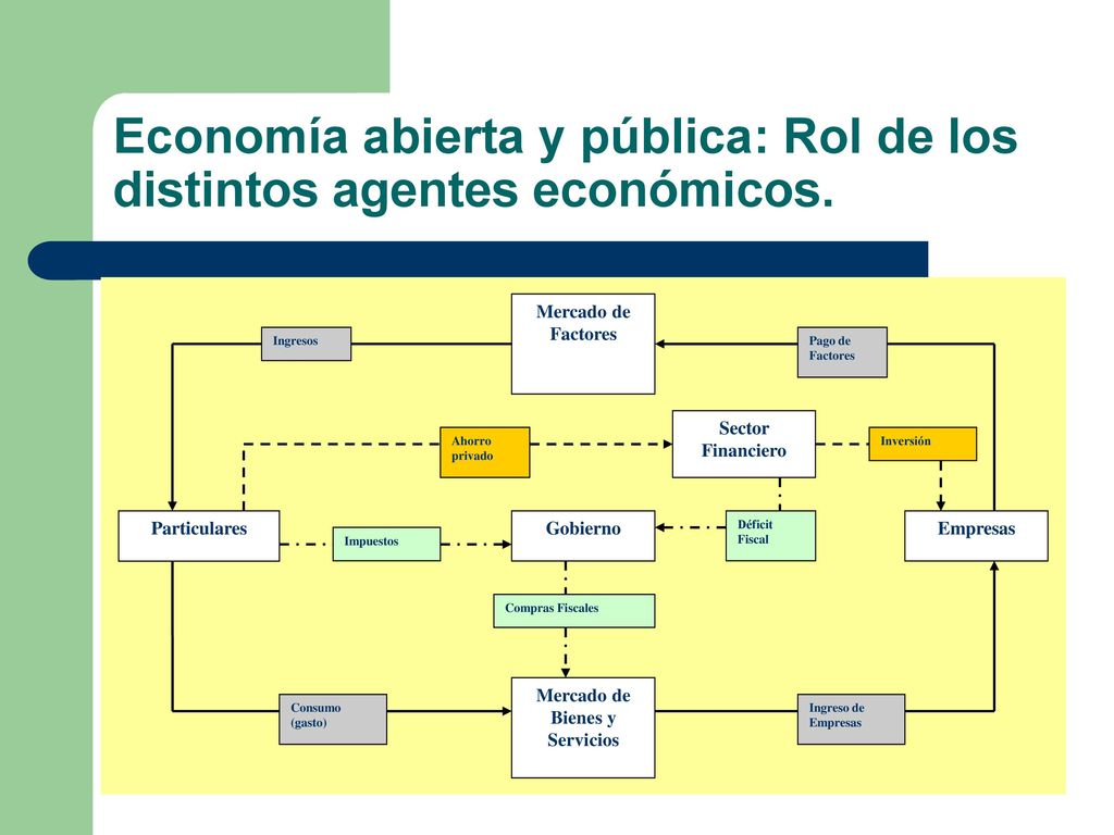 Economía abierta y pública: Rol de los distintos agentes económicos.