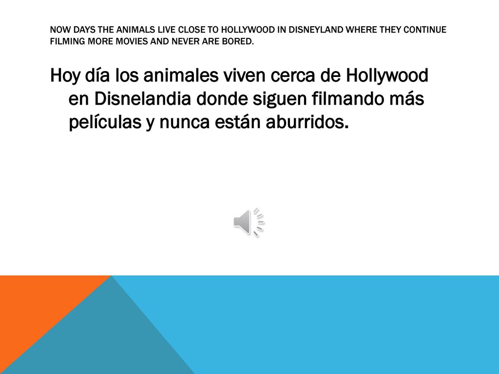 Now days the animals live close to Hollywood in Disneyland where they continue filming more movies and never are bored.