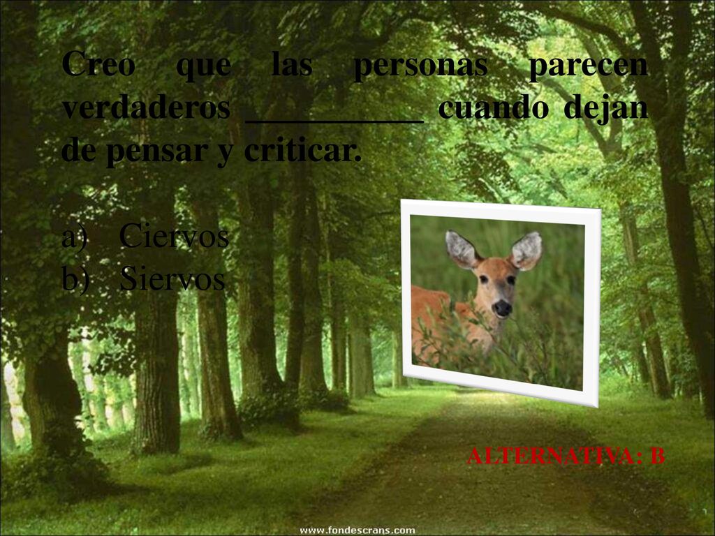 Creo que las personas parecen verdaderos __________ cuando dejan de pensar y criticar.