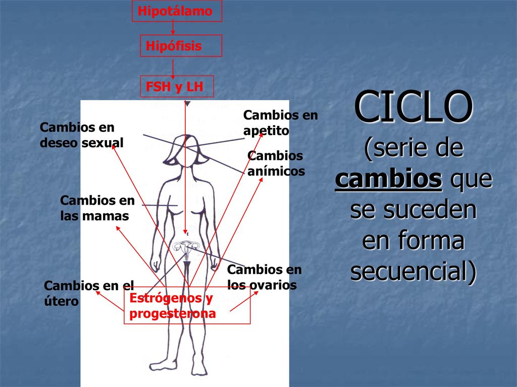 CICLO (serie de cambios que se suceden en forma secuencial)