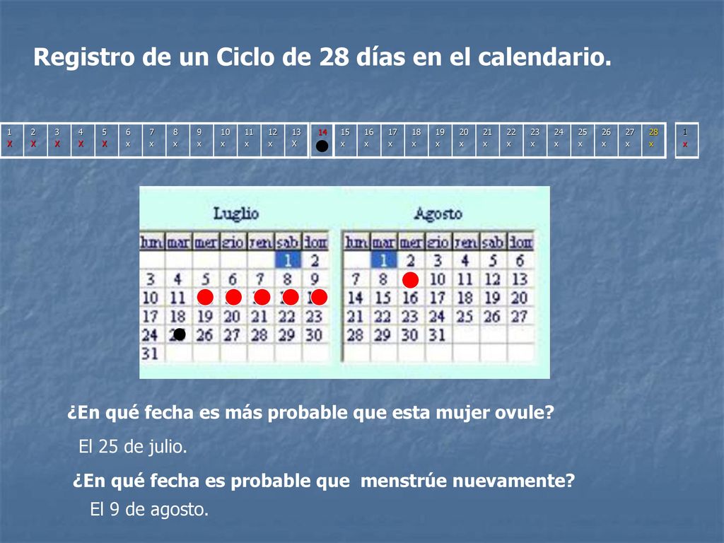 Registro de un Ciclo de 28 días en el calendario.