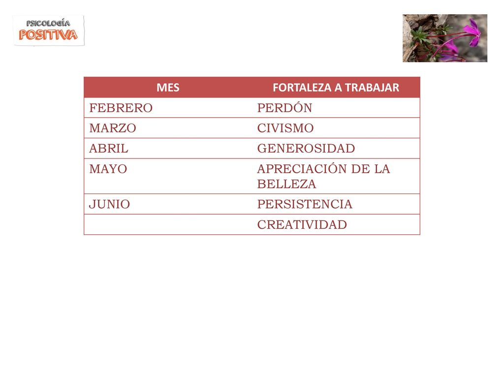 MES FORTALEZA A TRABAJAR. FEBRERO. PERDÓN. MARZO. CIVISMO. ABRIL. GENEROSIDAD. MAYO. APRECIACIÓN DE LA BELLEZA.