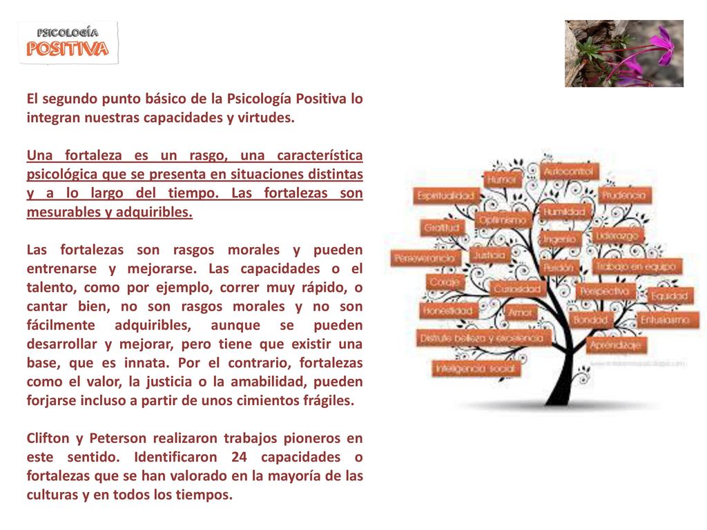 El segundo punto básico de la Psicología Positiva lo integran nuestras capacidades y virtudes.