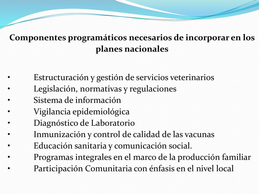 Componentes programáticos necesarios de incorporar en los planes nacionales