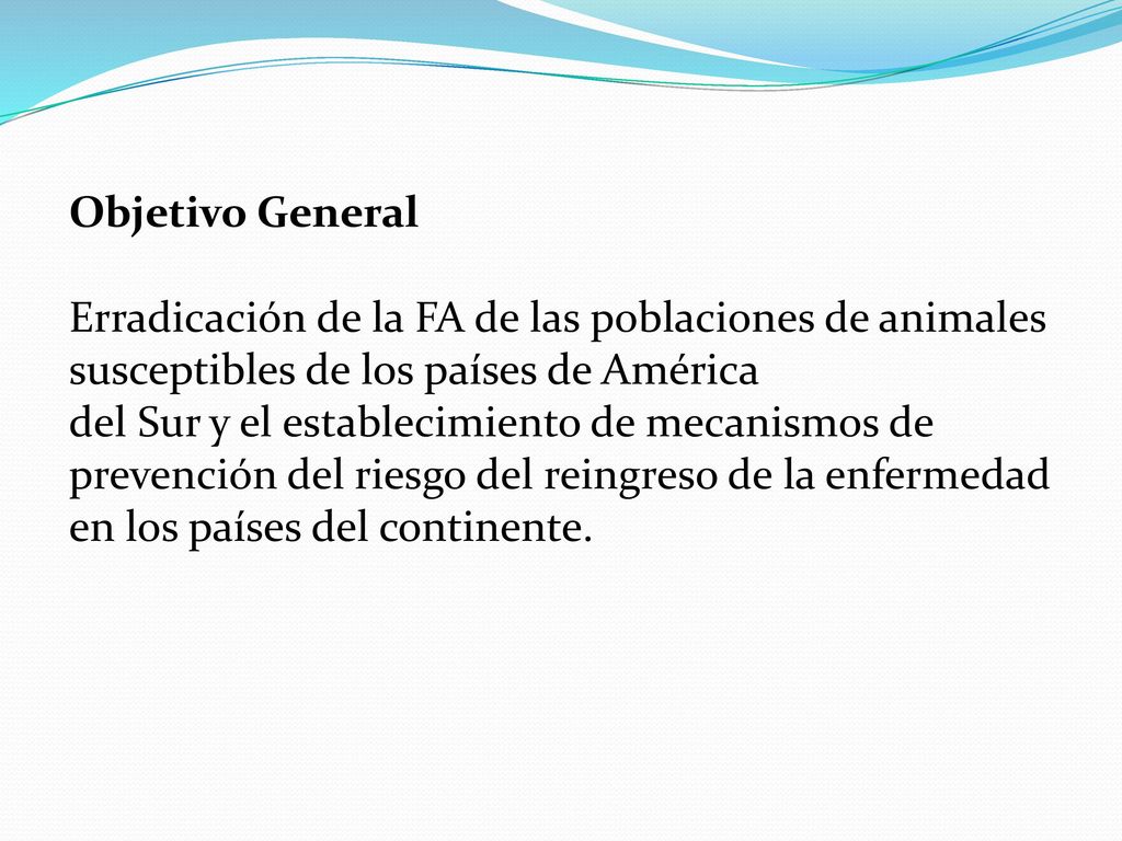 Objetivo General Erradicación de la FA de las poblaciones de animales susceptibles de los países de América.
