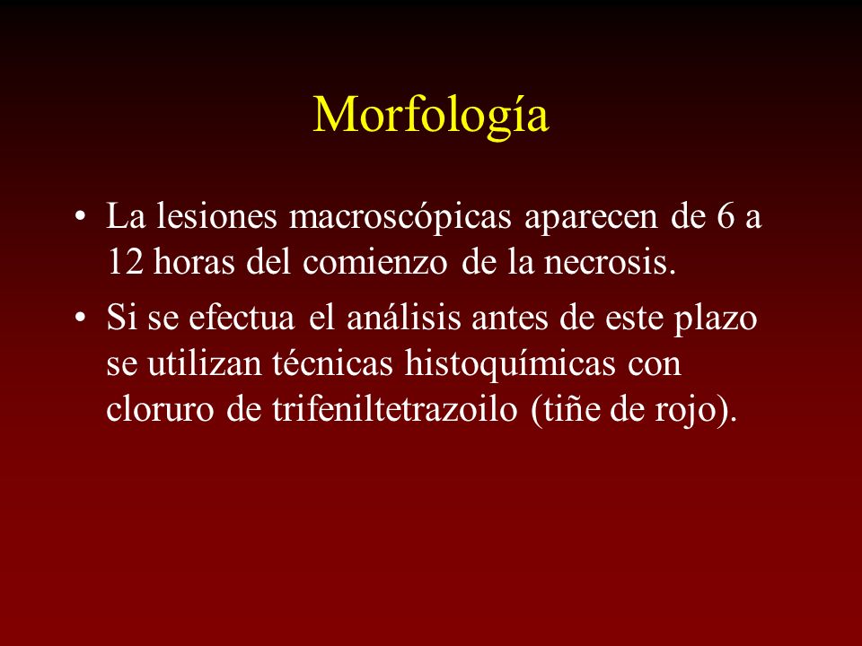 Morfología La lesiones macroscópicas aparecen de 6 a 12 horas del comienzo de la necrosis.