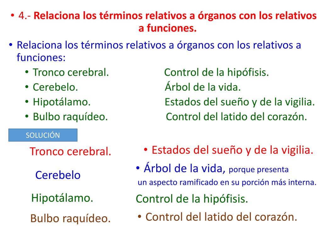 Estados del sueño y de la vigilia. Árbol de la vida, porque presenta