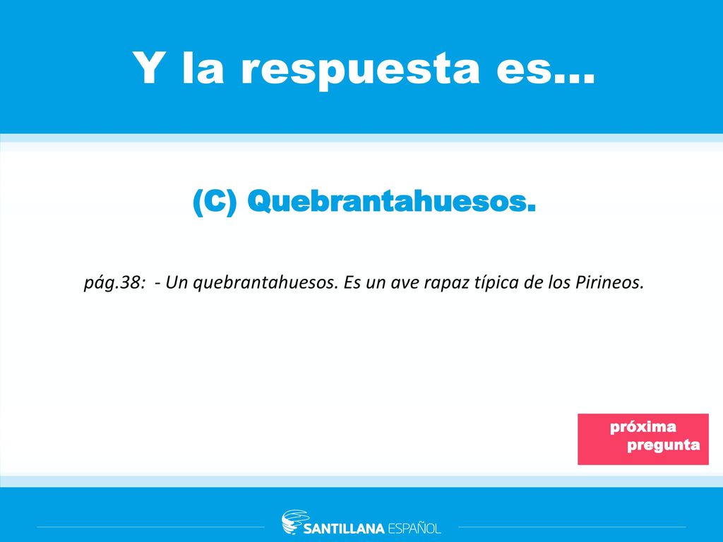 pág.38: - Un quebrantahuesos. Es un ave rapaz típica de los Pirineos.