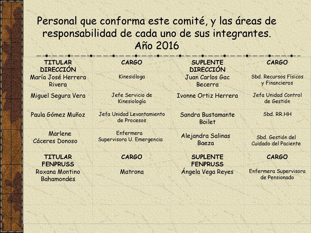 Personal que conforma este comité, y las áreas de responsabilidad de cada uno de sus integrantes.