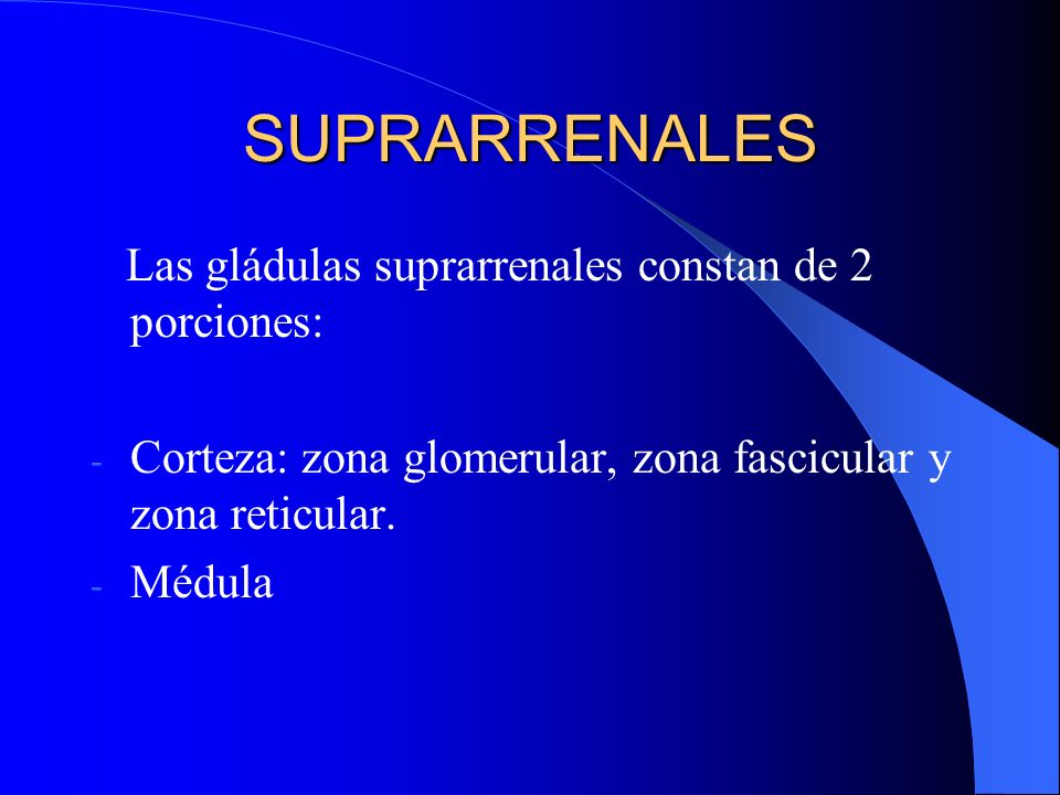 SUPRARRENALES Las gládulas suprarrenales constan de 2 porciones:
