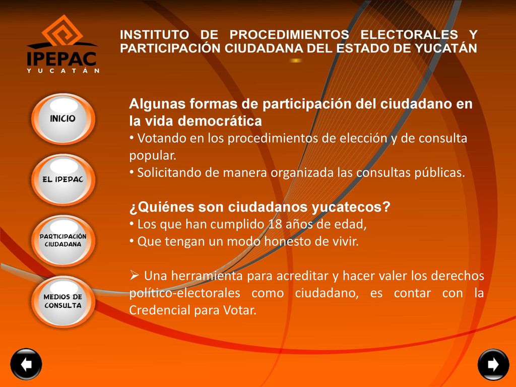 Algunas formas de participación del ciudadano en la vida democrática