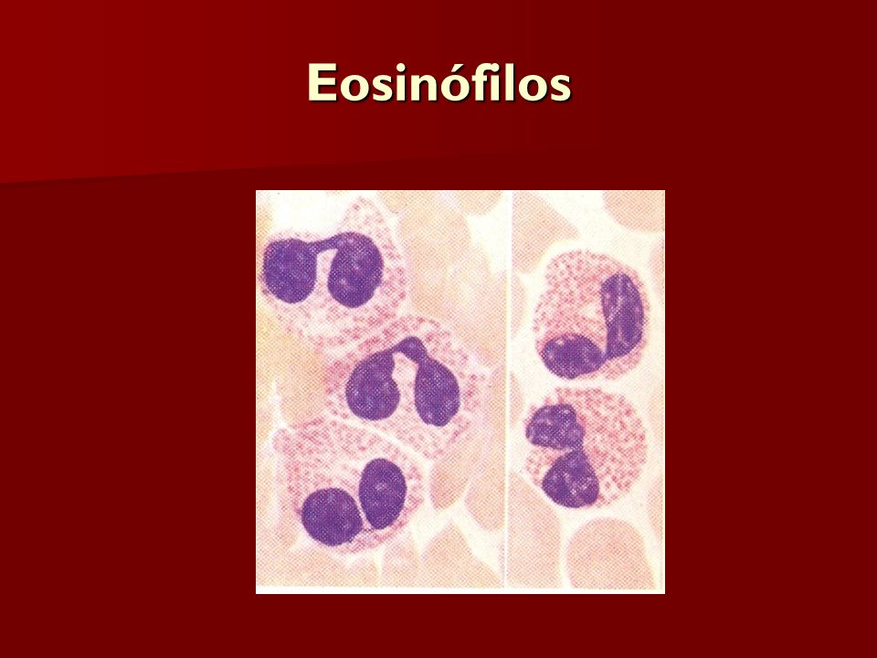 Eosinófilos