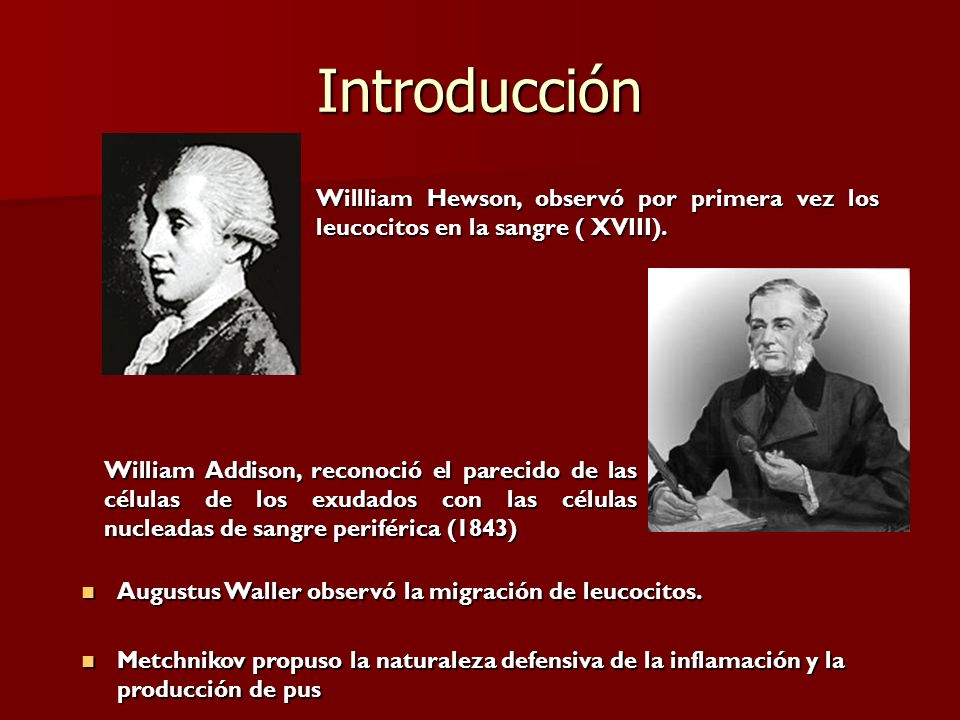 Introducción Willliam Hewson, observó por primera vez los leucocitos en la sangre ( XVIII).