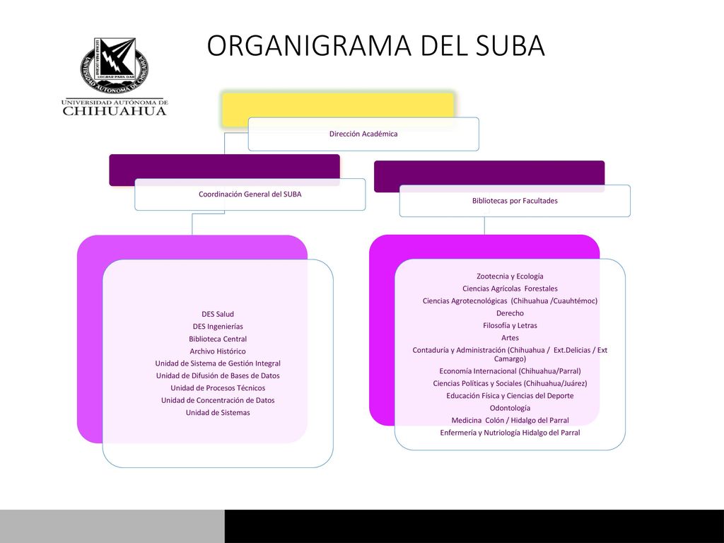 ORGANIGRAMA DEL SUBA AYU CAU 02 Rev. 1 Dirección Académica