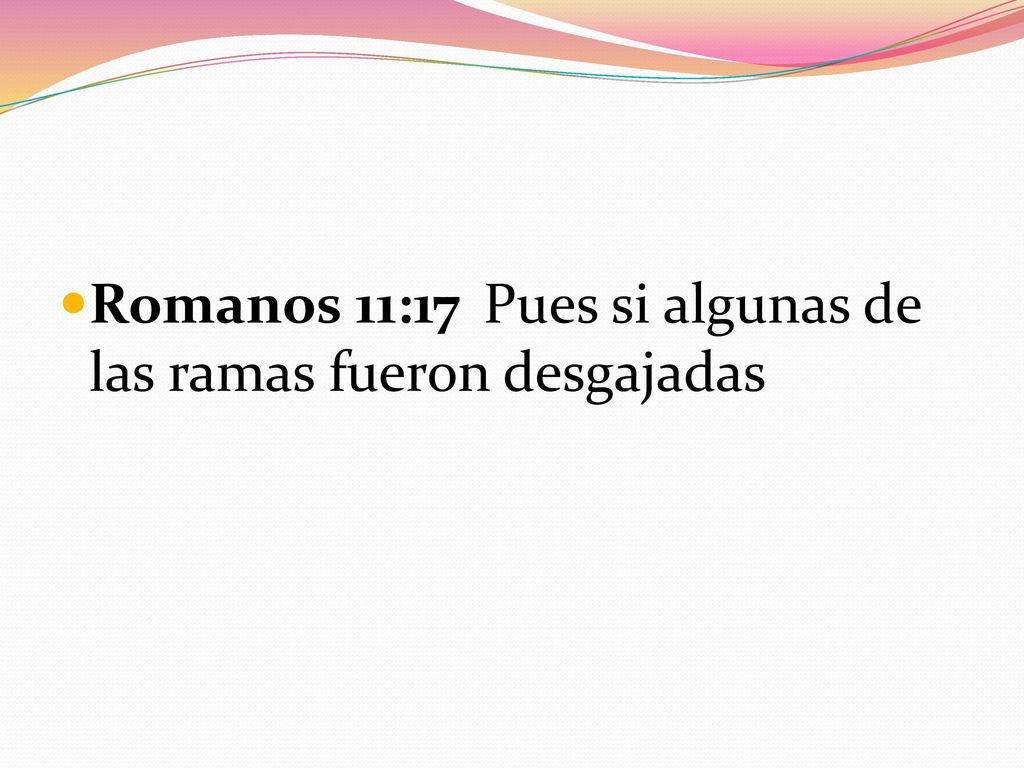 Romanos 11:17 Pues si algunas de las ramas fueron desgajadas