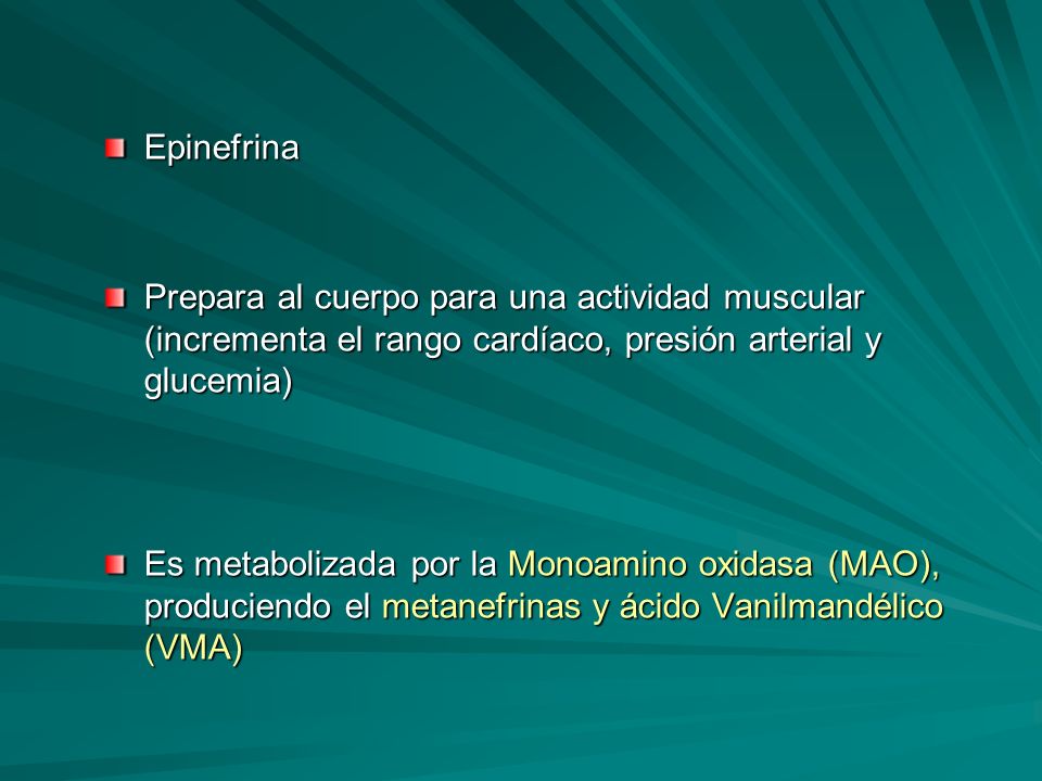 Epinefrina Prepara al cuerpo para una actividad muscular (incrementa el rango cardíaco, presión arterial y glucemia)