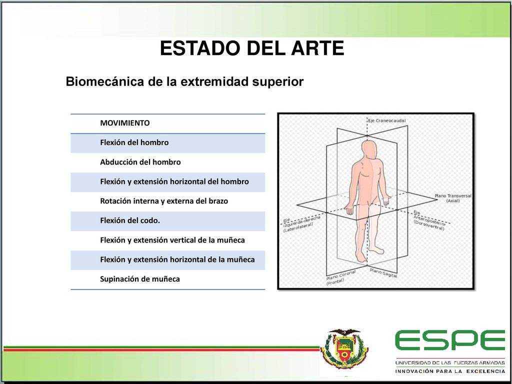 ESTADO DEL ARTE Biomecánica de la extremidad superior MOVIMIENTO
