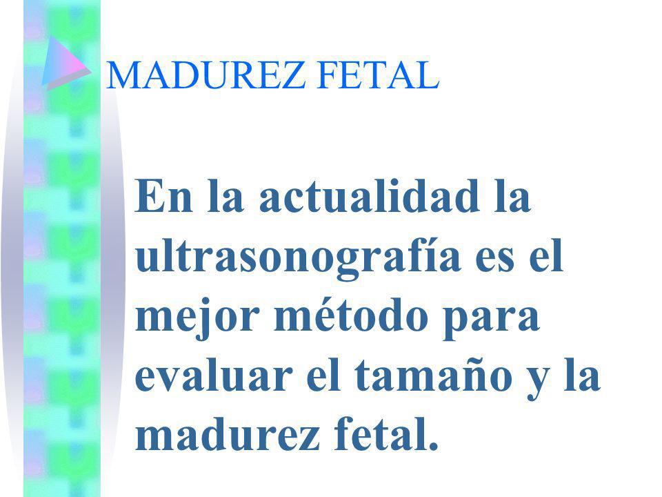 MADUREZ FETAL En la actualidad la ultrasonografía es el mejor método para evaluar el tamaño y la madurez fetal.
