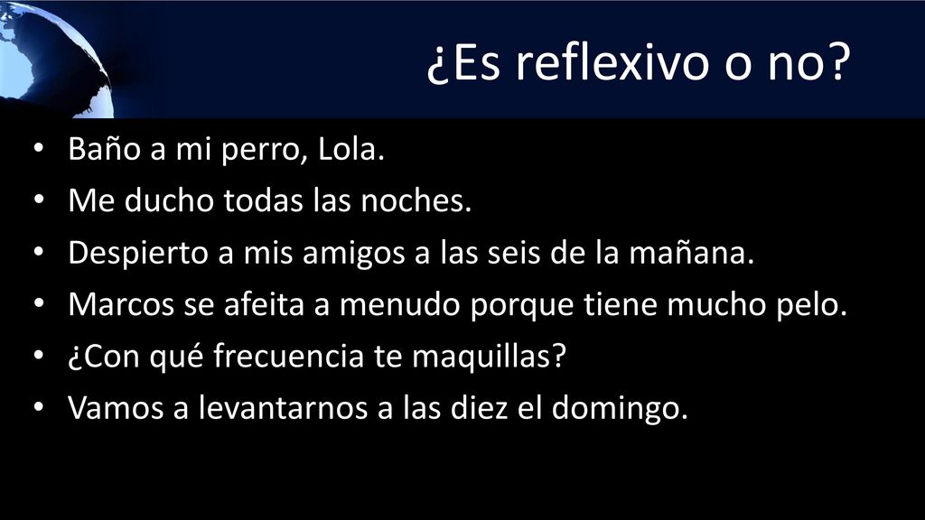 ¿Es reflexivo o no Baño a mi perro, Lola. Me ducho todas las noches.
