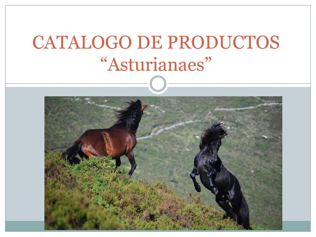 CATALOGO DE PRODUCTOS Asturianaes