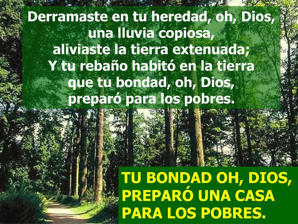 TU BONDAD OH, DIOS, PREPARÓ UNA CASA PARA LOS POBRES.