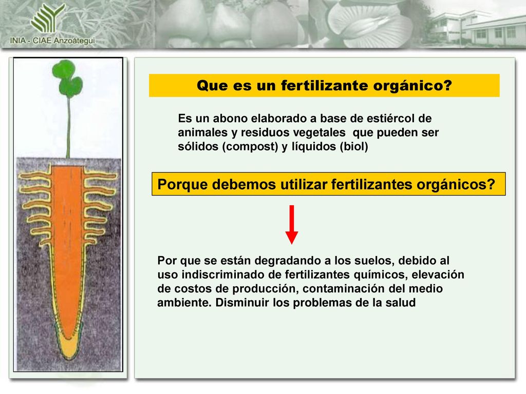 Importancia de los abonos orgánicos en la sustentabilidad del medioambiente  - ppt descargar