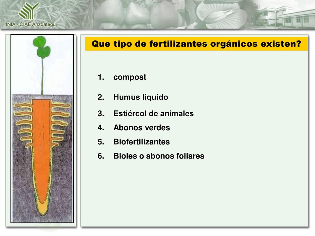 Que tipo de fertilizantes orgánicos existen