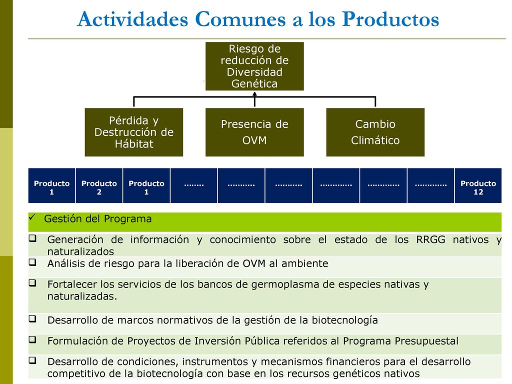 Actividades Comunes a los Productos