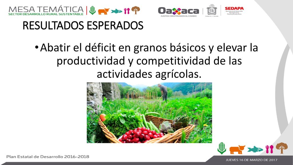 RESULTADOS ESPERADOS Abatir el déficit en granos básicos y elevar la productividad y competitividad de las actividades agrícolas.