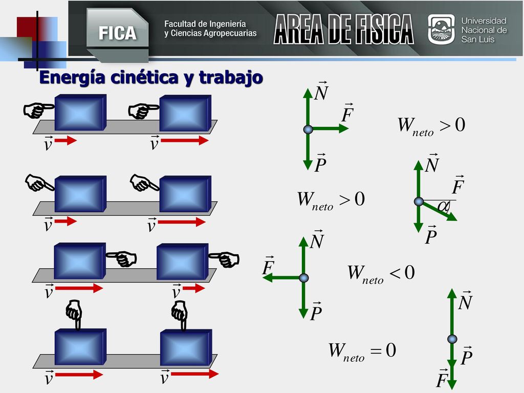 AREA DE FISICA Energía cinética y trabajo         13