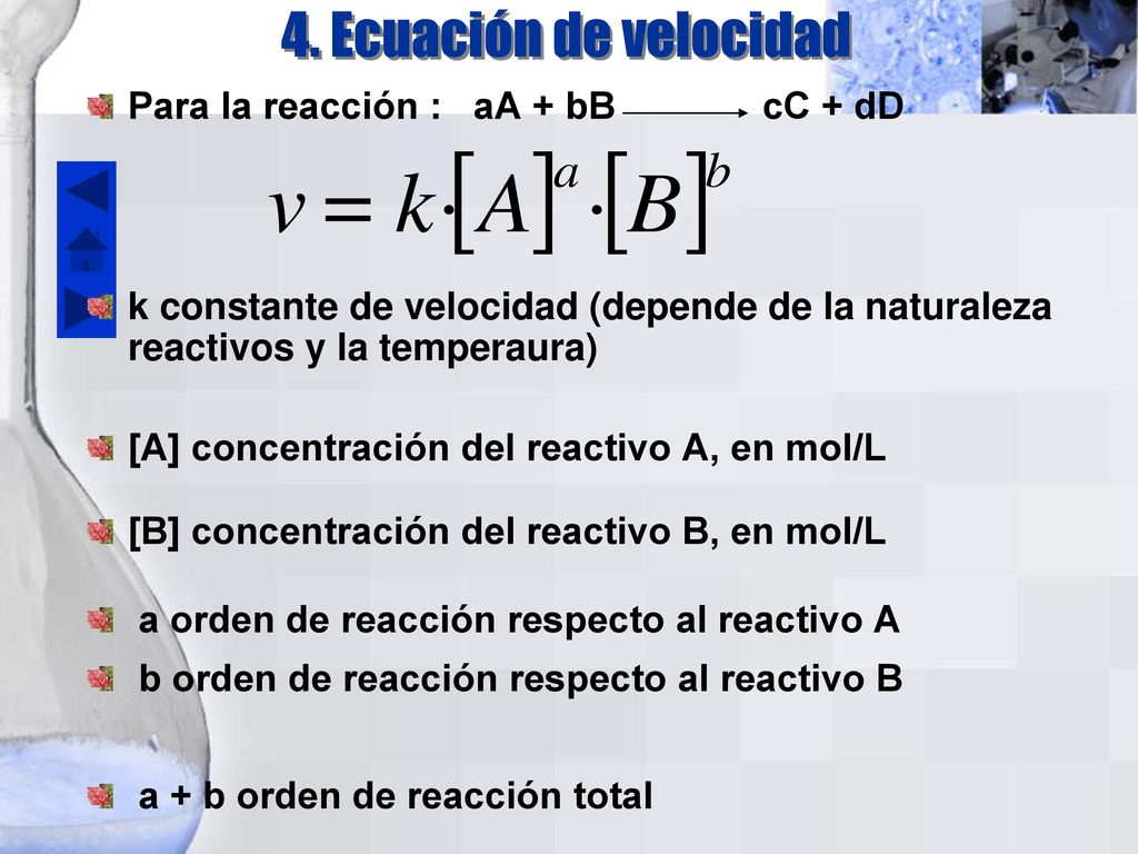 4. Ecuación de velocidad Para la reacción : aA + bB cC + dD