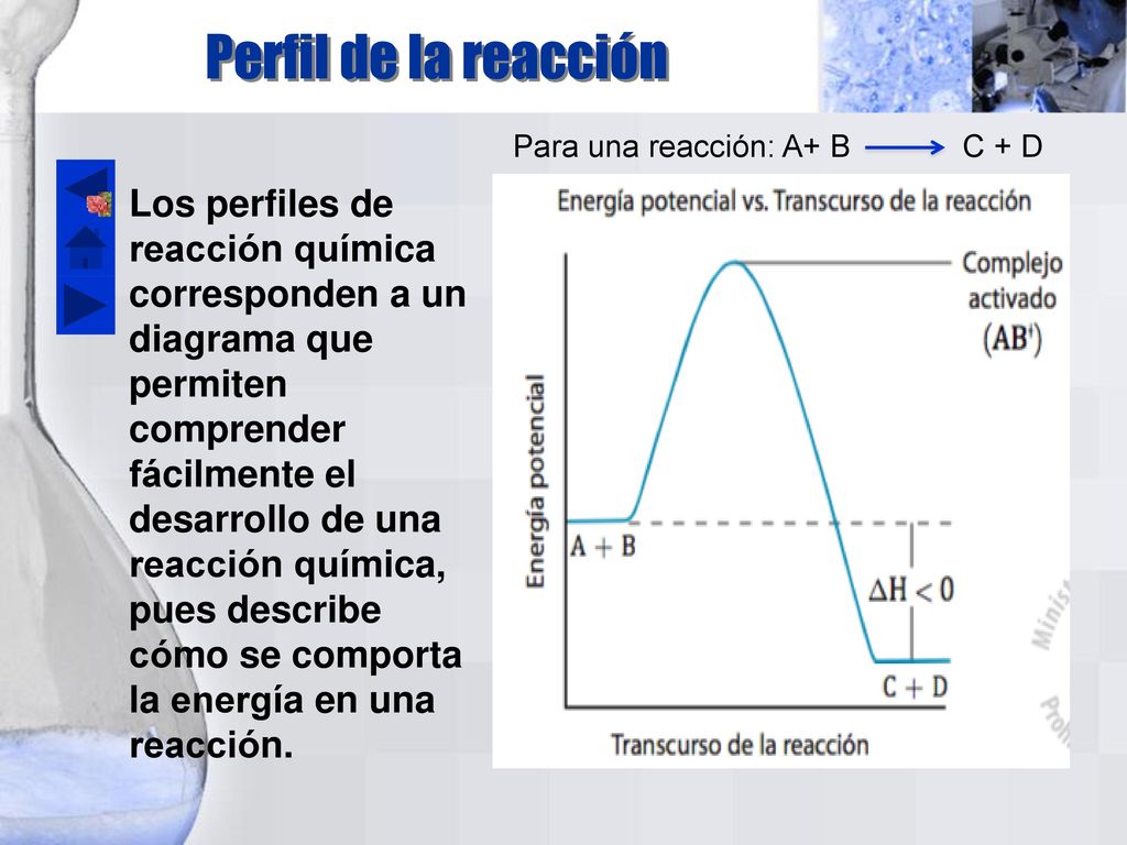 Perfil de la reacción Para una reacción: A+ B C + D.