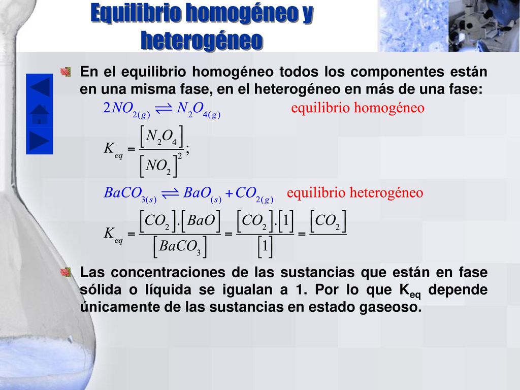 Equilibrio homogéneo y heterogéneo