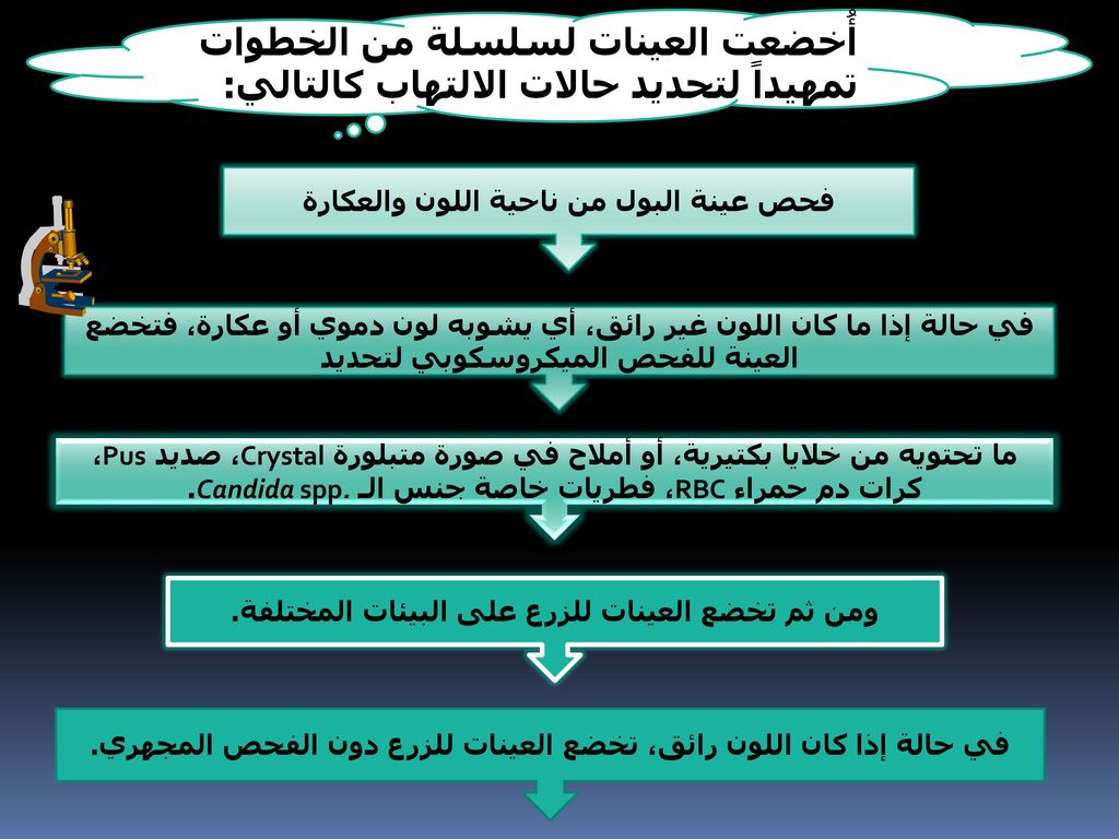 أُخضعت العينات لسلسلة من الخطوات تمهيداً لتحديد حالات الالتهاب كالتالي: