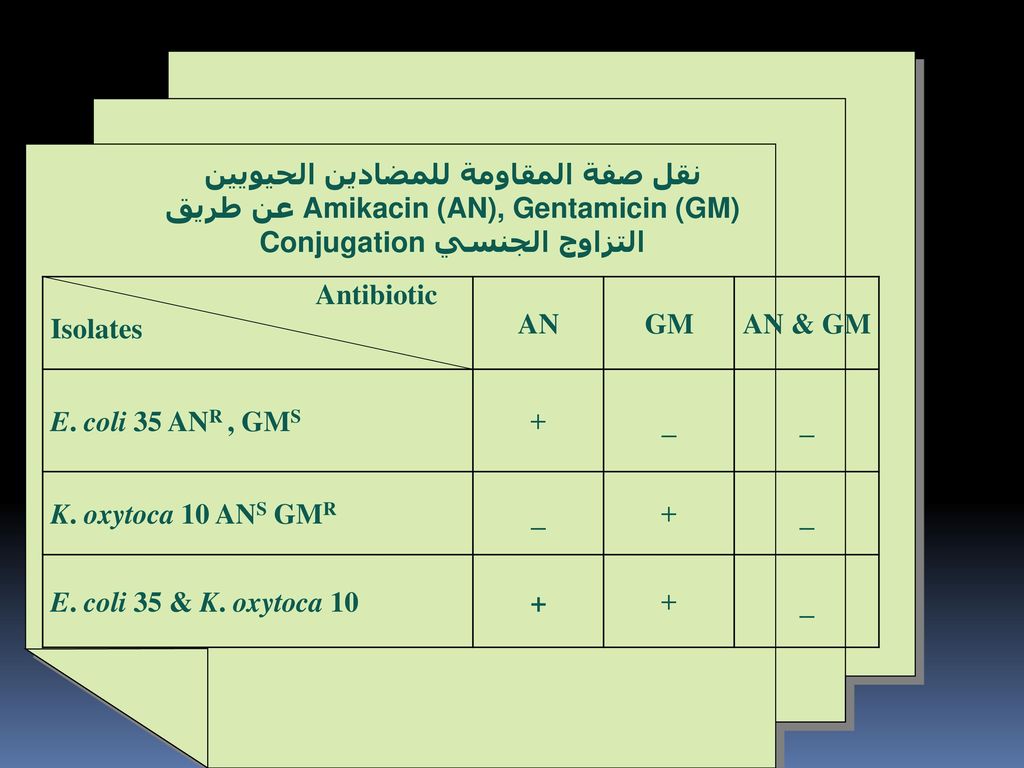 نقل صفة المقاومة للمضادين الحيويين Amikacin (AN), Gentamicin (GM) عن طريق التزاوج الجنسي Conjugation