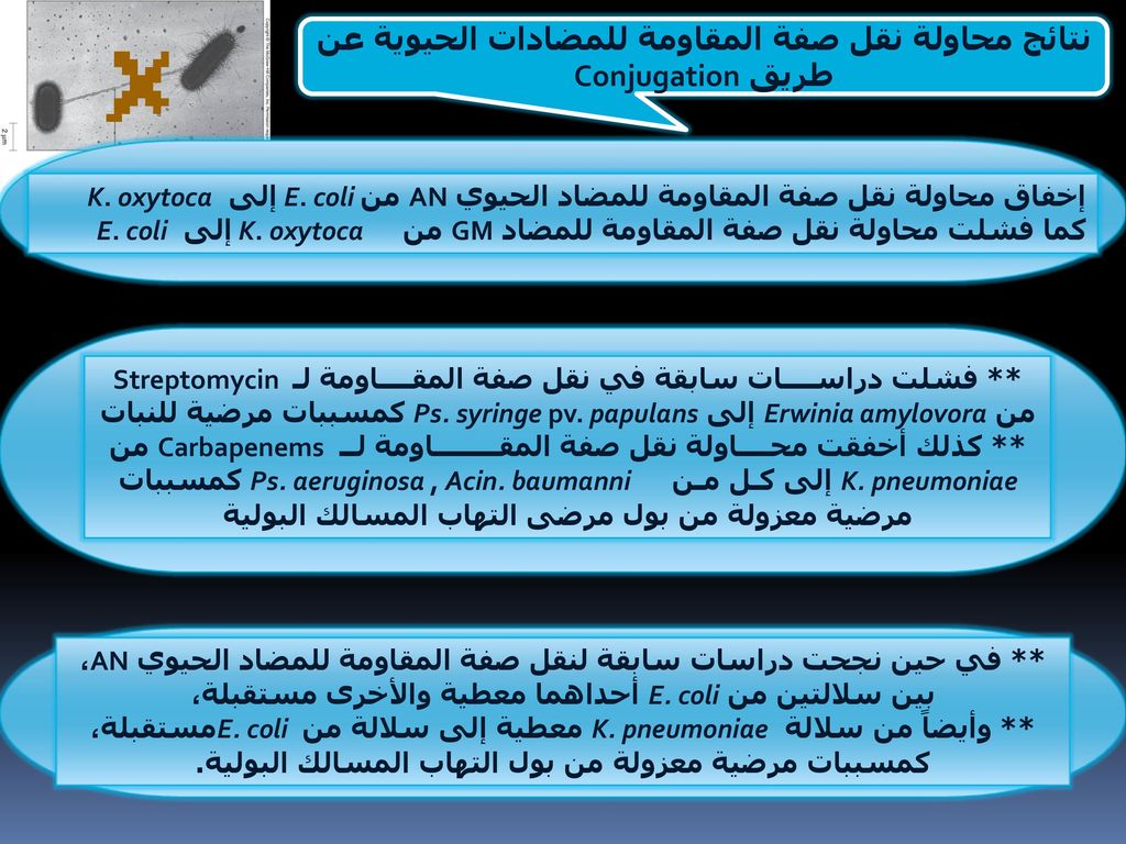 نتائج محاولة نقل صفة المقاومة للمضادات الحيوية عن طريق Conjugation