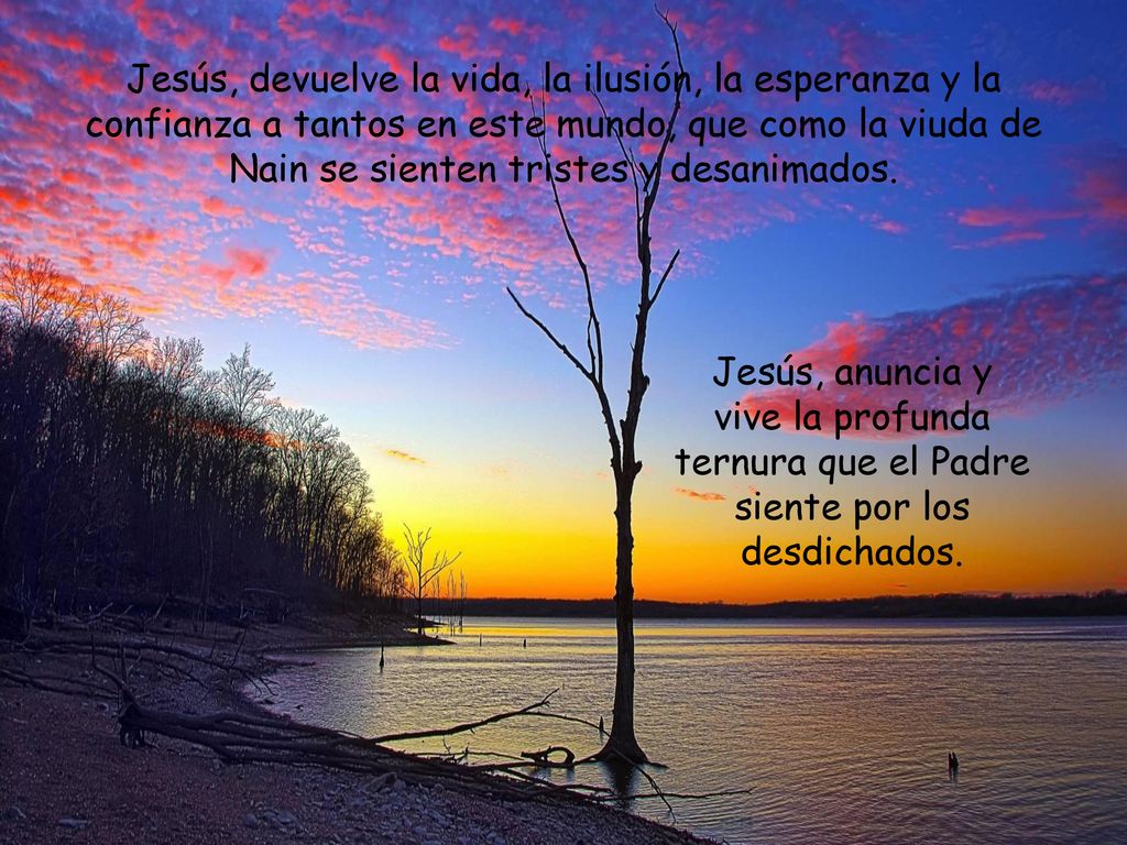 Jesús, devuelve la vida, la ilusión, la esperanza y la confianza a tantos en este mundo, que como la viuda de Nain se sienten tristes y desanimados.