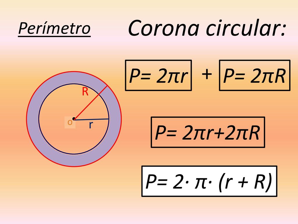 Corona circular: + P= 2πr P= 2πR P= 2πr+2πR P= 2· π· (r + R) Perímetro