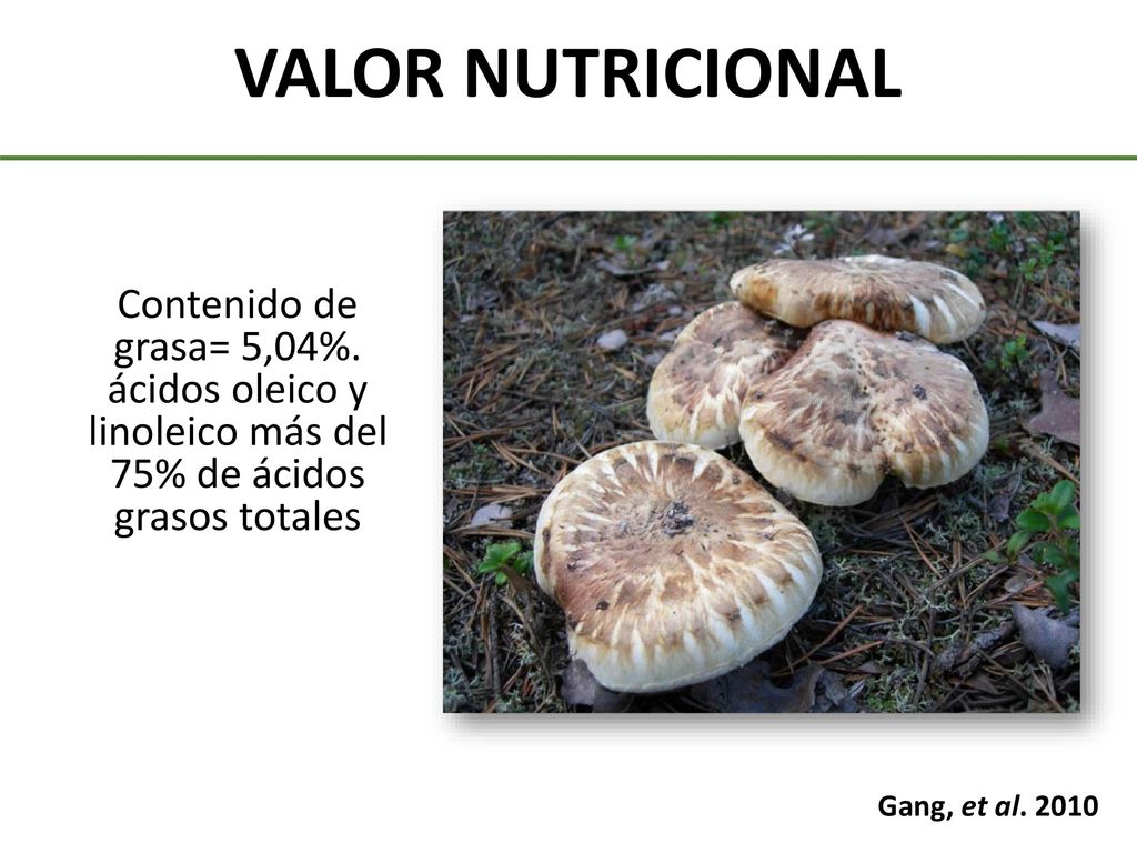 VALOR NUTRICIONAL Contenido de grasa= 5,04%. ácidos oleico y linoleico más del 75% de ácidos grasos totales.
