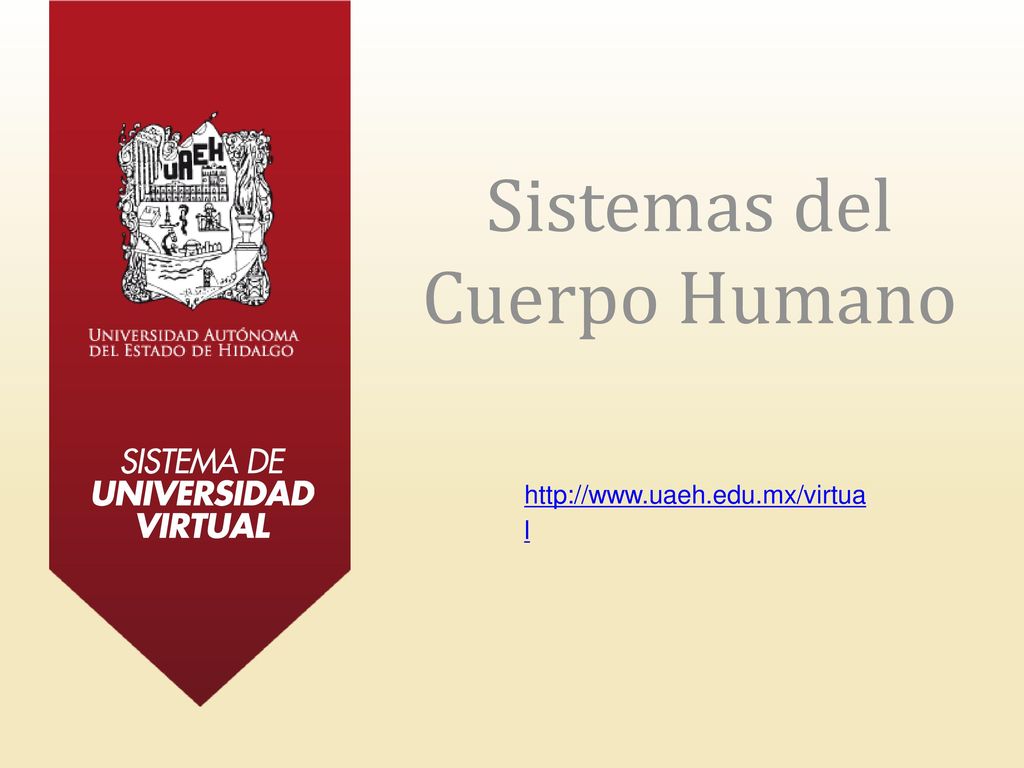 Sistemas del Cuerpo Humano