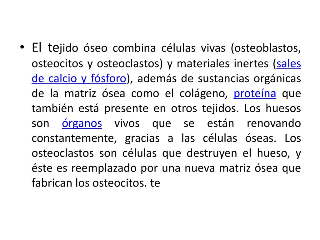 El tejido óseo combina células vivas (osteoblastos, osteocitos y osteoclastos) y materiales inertes (sales de calcio y fósforo), además de sustancias orgánicas de la matriz ósea como el colágeno, proteína que también está presente en otros tejidos.