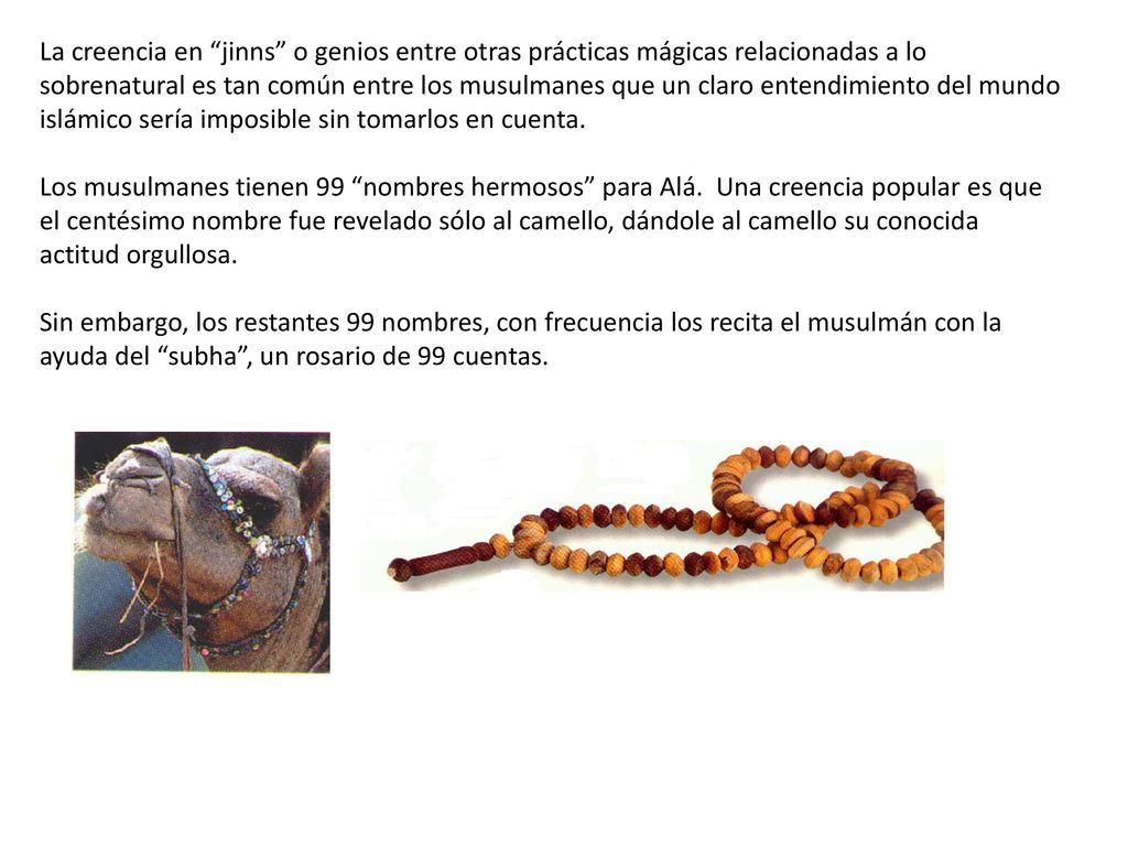 La creencia en jinns o genios entre otras prácticas mágicas relacionadas a lo sobrenatural es tan común entre los musulmanes que un claro entendimiento del mundo islámico sería imposible sin tomarlos en cuenta.